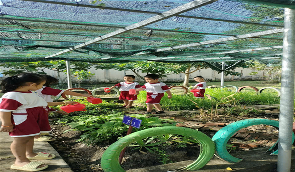 Một số biện pháp giúp trẻ 4 - 5 tuổi tích cực tham gia hoạt động trải  nghiệm trong trường mầm non phù hợp với bối cảnh địa phương